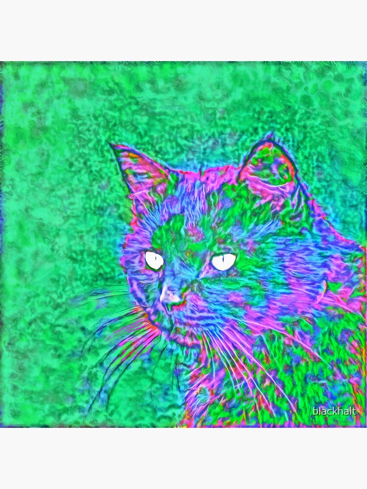 Ninja Cat, Predator by blackhalt
