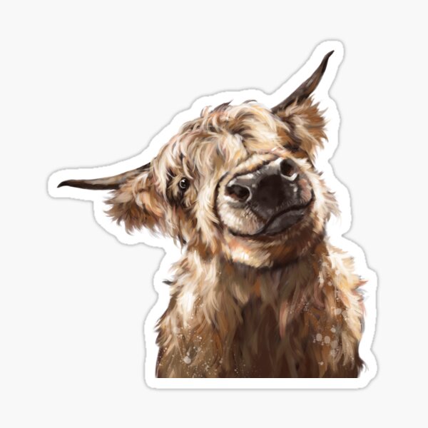 Highland Cow Sticker