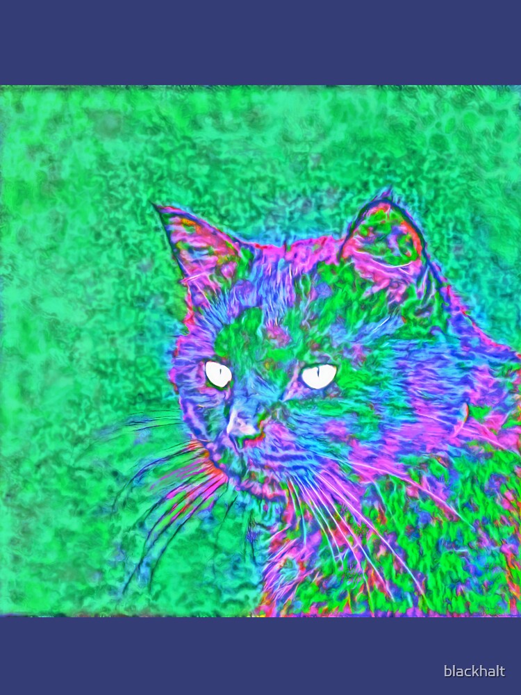Ninja Cat, Predator by blackhalt
