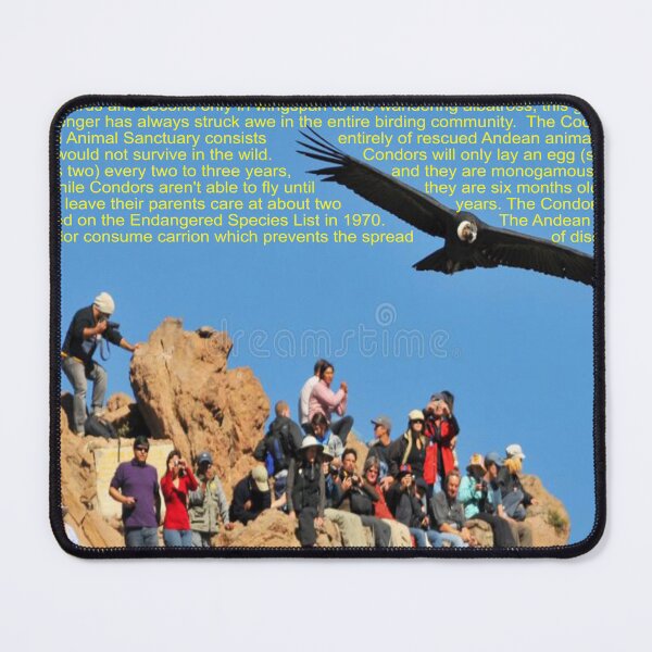 Item preview, Andean Condor Art designed and sold by Alicefish.