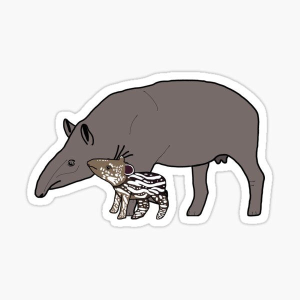 Item preview, Lowland Tapir Family designed and sold by Caitlyn M Cooper.