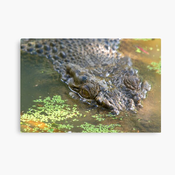 Come closer ... Canvas Print