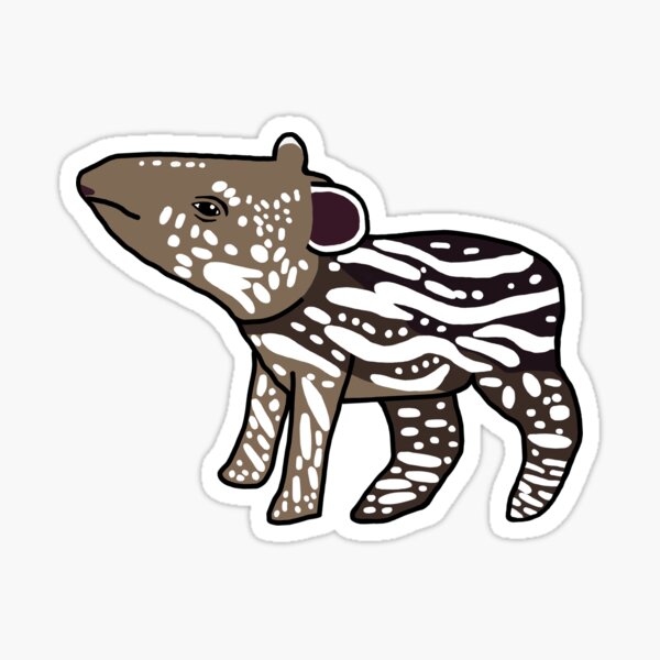 Vista previa del artículo con la obra «Lowland Tapir Baby», diseñado y vendido por Caitlyn M Cooper.