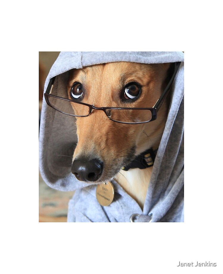 Funny Dog Wearing Glasses\