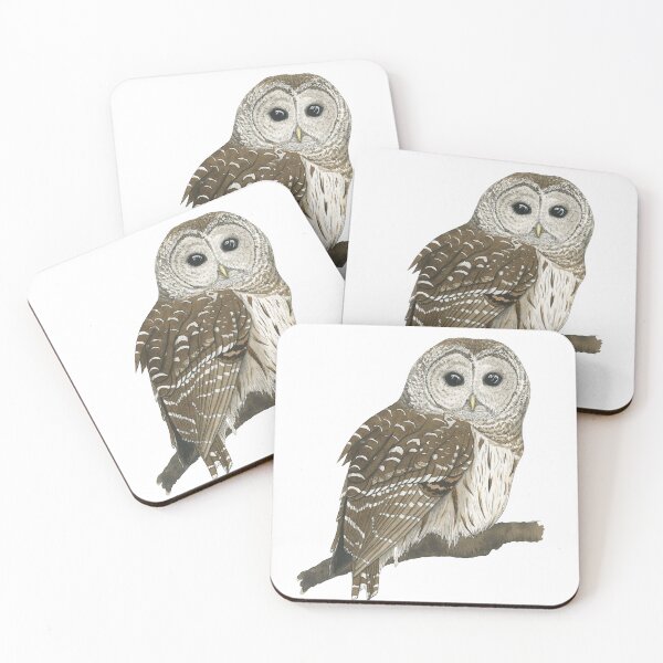 Item preview, Resting Barred Owl designed and sold by Fabledwillow.