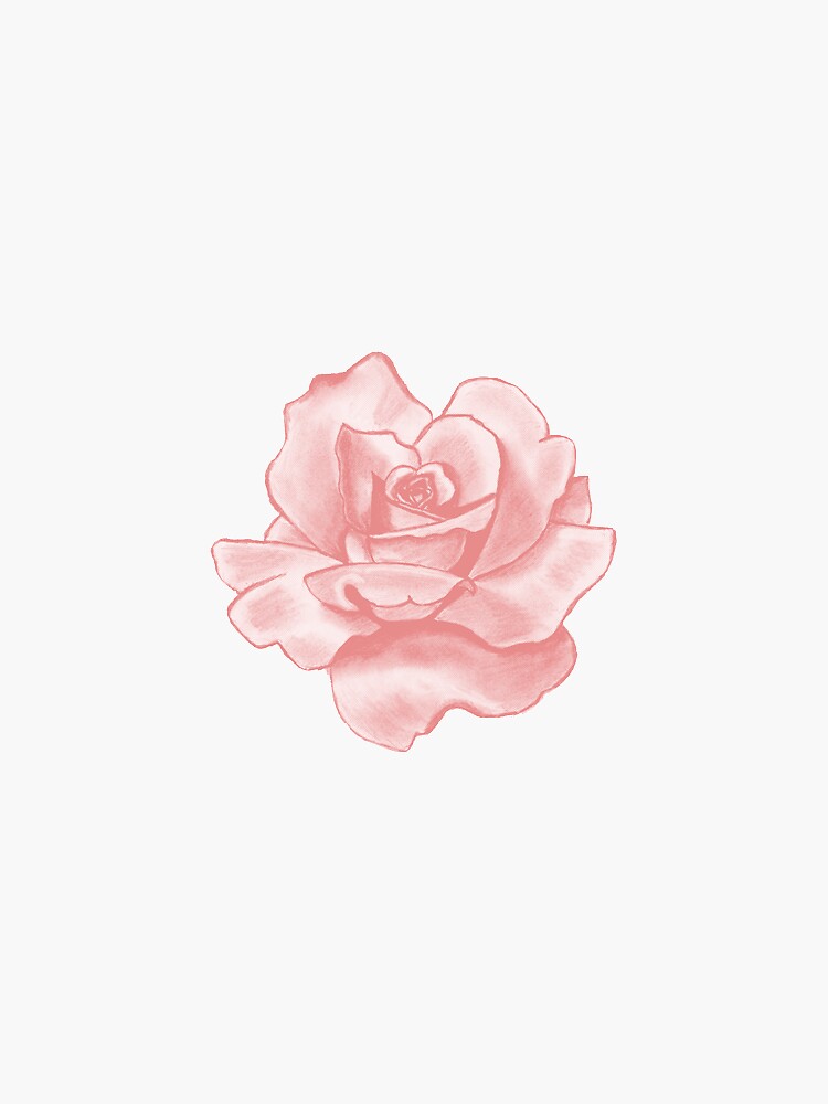 pink rose by emilyweis1001