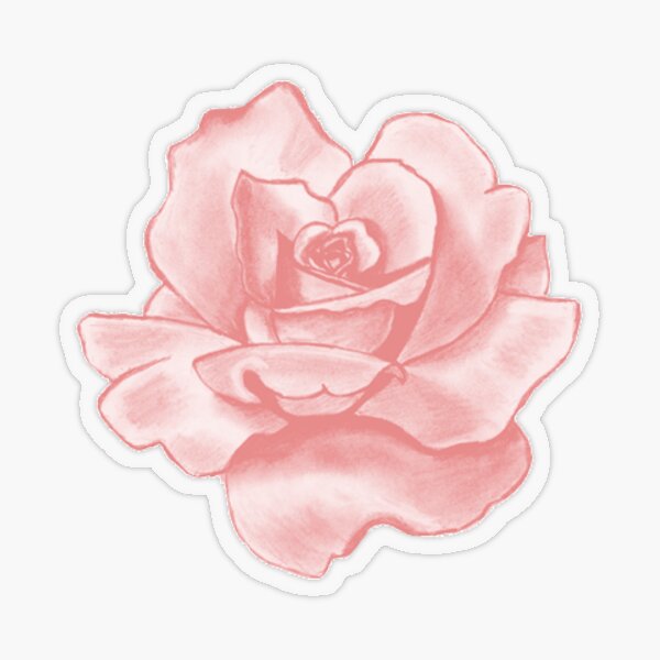 “pink rose " Sticker by emilyweis1001 | Redbubble