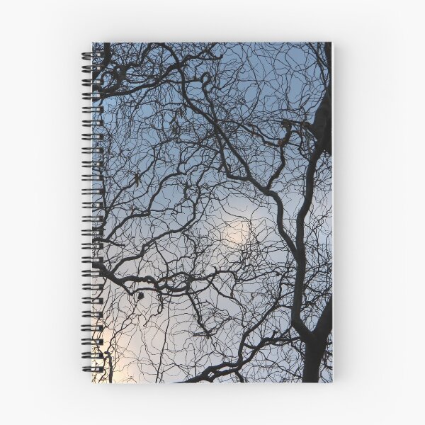 Item preview, Branches designed and sold by Alex Boros.