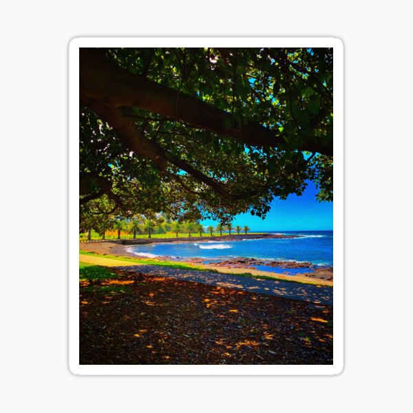 Underneath the Kiama Trees Sticker