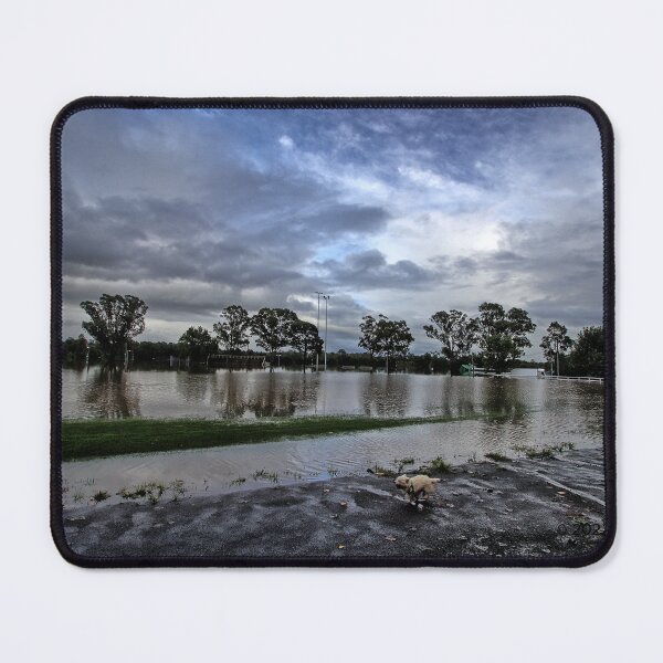 Item preview, Come hell or high water. designed and sold by Ian Ramsay.