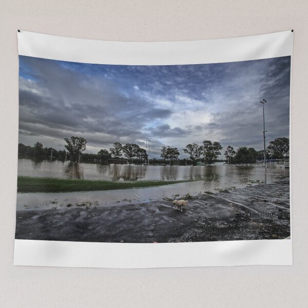 Item preview, Come hell or high water. designed and sold by Ian Ramsay.