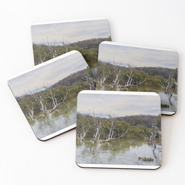 Aperçu de l'œuvre Arbres poussant dans l'eau créée et vendue par jemmurphy23.