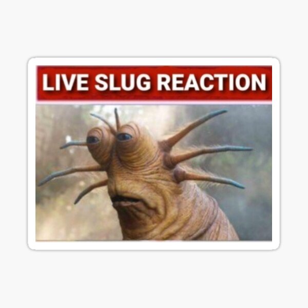 Live Slug Reaction Template