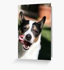 Goofy Dog Greeting Card