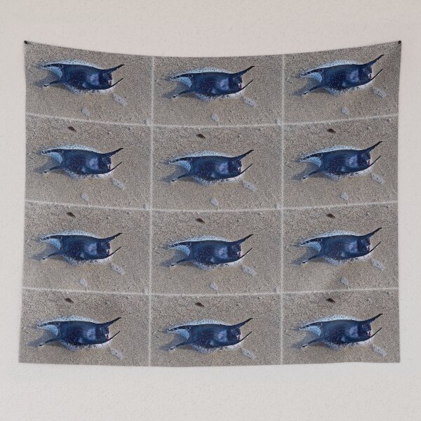 Item preview, Mermaid's Purse designed and sold by Dorset Girl.