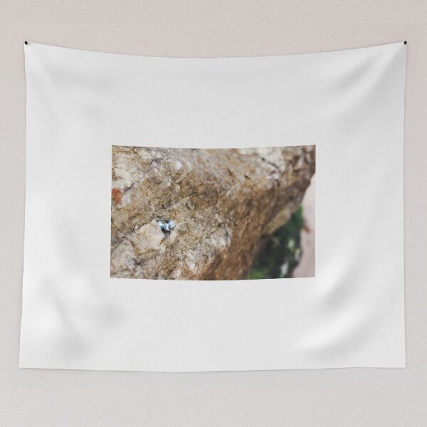 Item preview, Discovery designed and sold by CarlaHarvie.