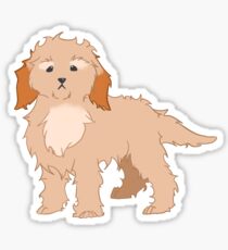 Cockapoo Sticker