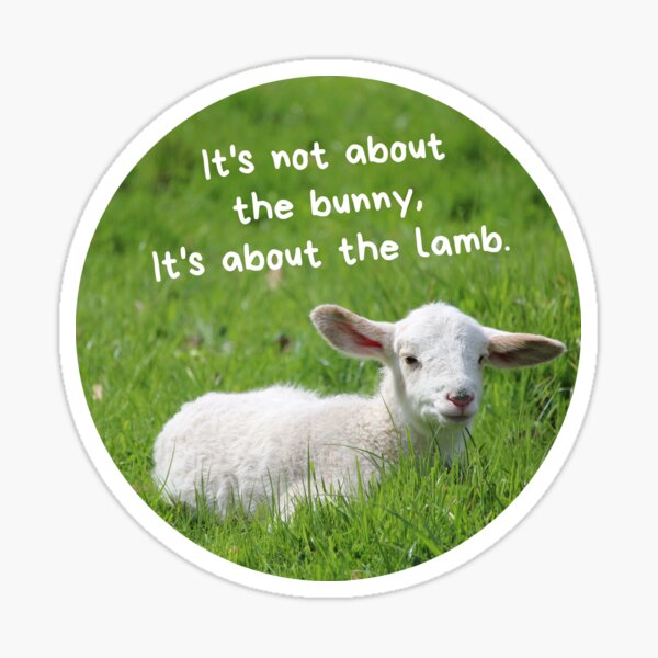 “its not about the bunny its about the lamb” Sticker for Sale by Zhiyi