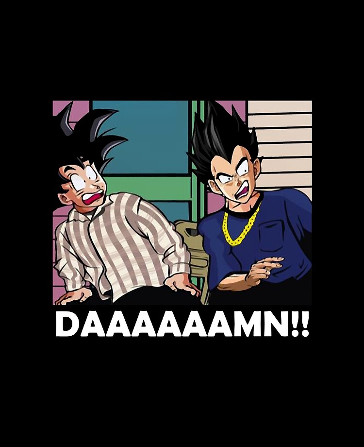 Goku And Vegeta Funny Memes