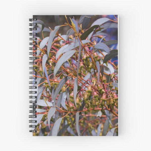 Item preview, Spring time in Australia designed and sold by CarlaHarvie.