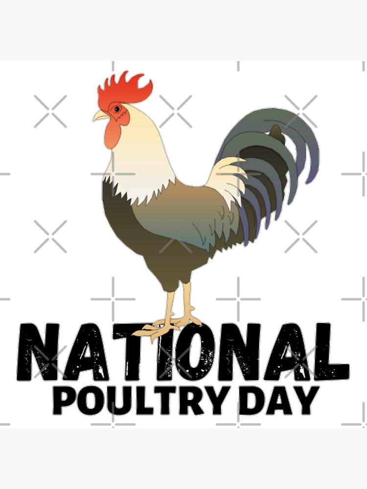 "NATIONAL POULTRY DAY POULTRY DAY POULTRY CHICKEN " Poster by