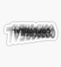 Plato's pinhole Sticker
