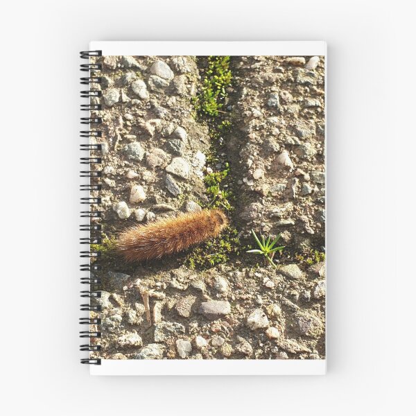 Item preview, Caterpillar on the move   designed and sold by RSdesignbureau.