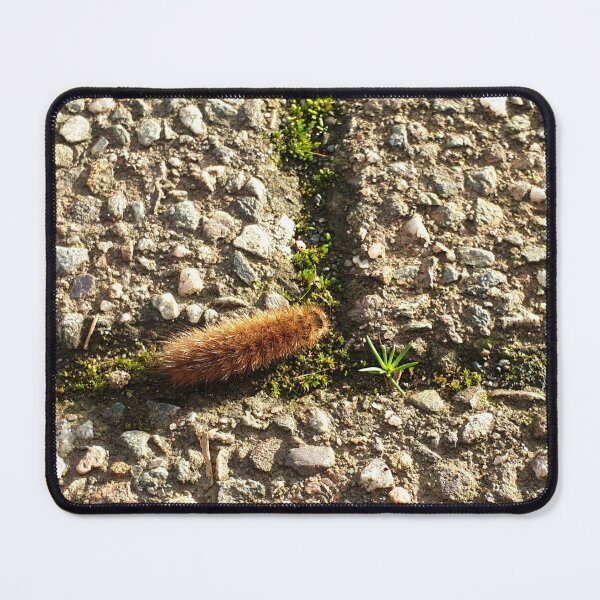 Item preview, Caterpillar on the move   designed and sold by RSdesignbureau.