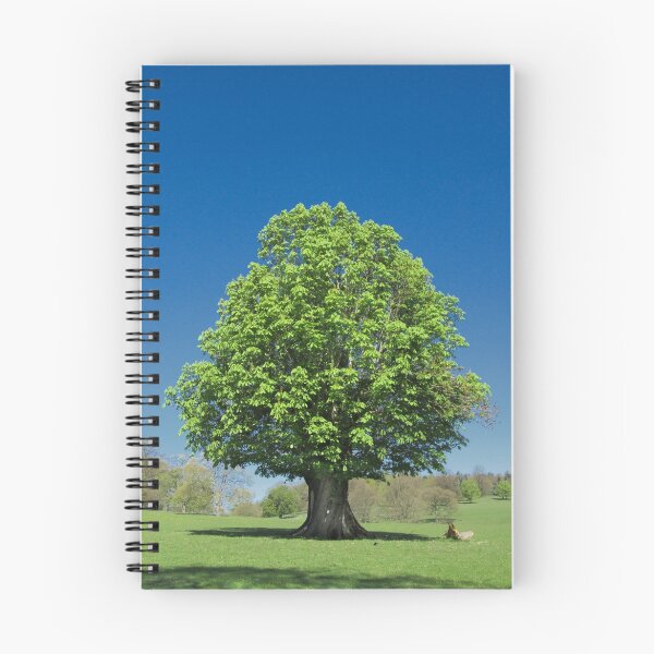 Item preview, Árbol del Tesoro designed and sold by InterestingImag.