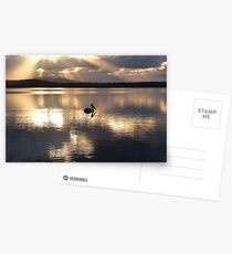 Sunrays Postcards