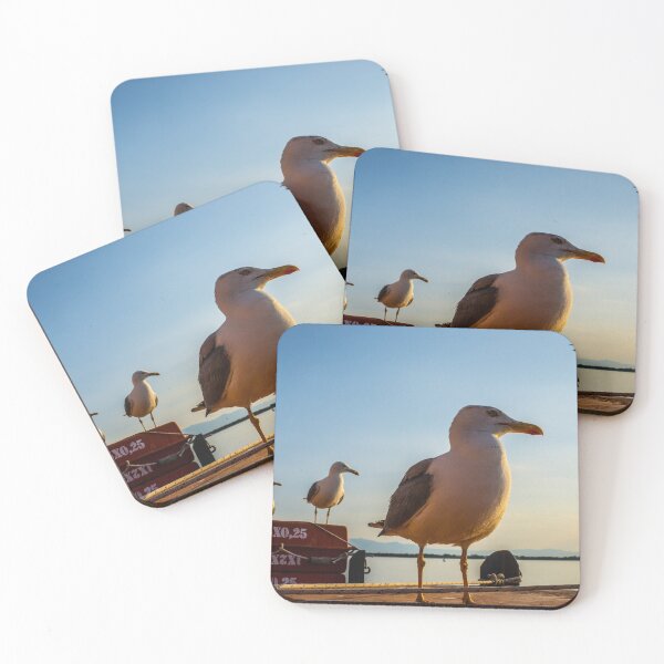 Item preview, Seabirds on a ferry in the Aegean Sea, Greece designed and sold by PicHuang.