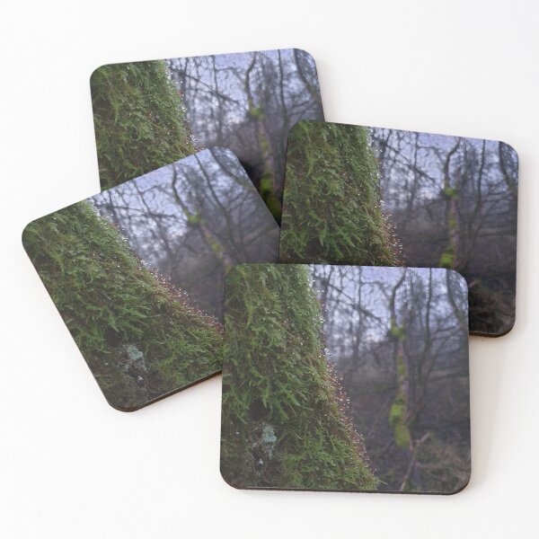 Item preview, Moss on the tree  designed and sold by RSdesignbureau.