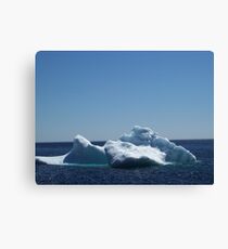 Iceberg ...near the beach Canvas Print