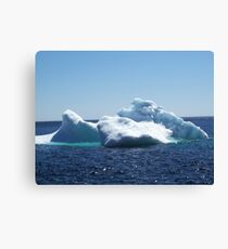 Iceberg...on close up Canvas Print