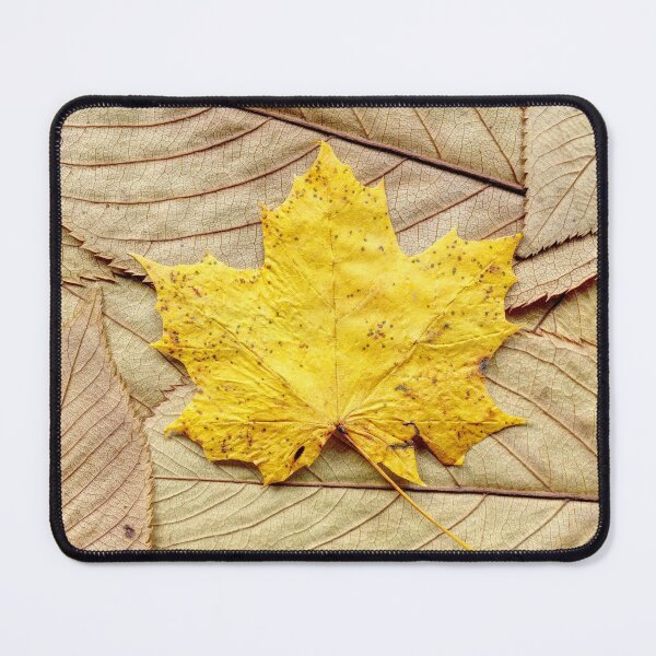 Item preview, Autumn leaves 08 designed and sold by Weston Westmoreland.