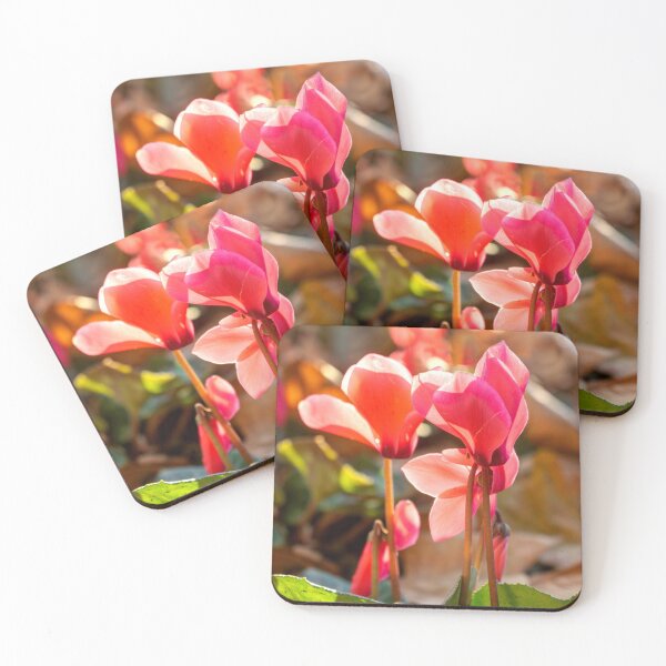 Item preview, cyclamen designed and sold by Weston  Westmoreland.