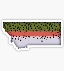 Montana Rainbow Trout Sticker