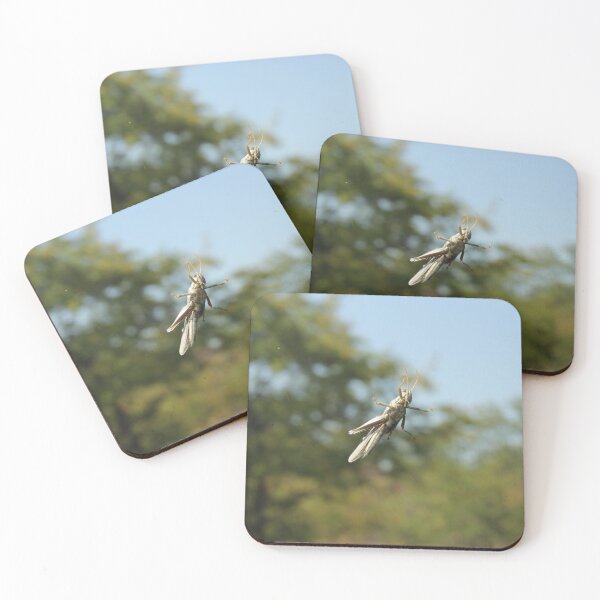 Item preview, Grasshopper on Windshield designed and sold by vonJohnstonArt.