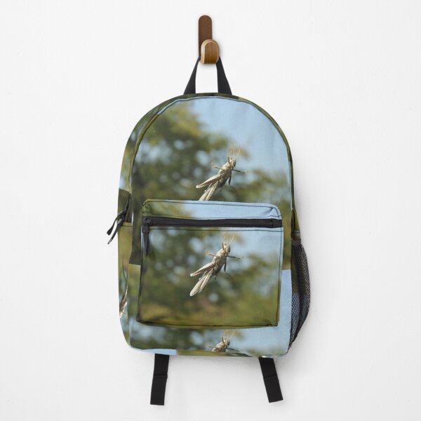 Item preview, Grasshopper on Windshield designed and sold by vonJohnstonArt.