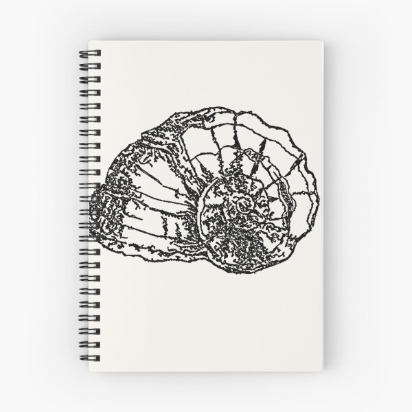 Item preview, Machine Embroidery, Beautiful Monochrome Embroidered Shell, 7, Stitch crafting, unique embroidered art designed and sold by RudolphBarnard.