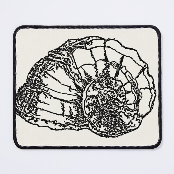 Item preview, Machine Embroidery, Beautiful Monochrome Embroidered Shell, 7, Stitch crafting, unique embroidered art designed and sold by RudolphBarnard.