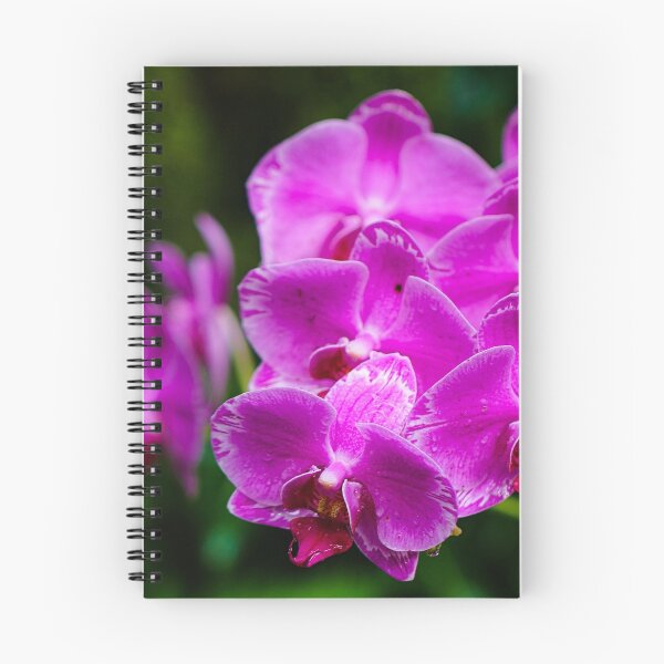 Item preview, Grupo de orquídeas designed and sold by ADM  Photography.