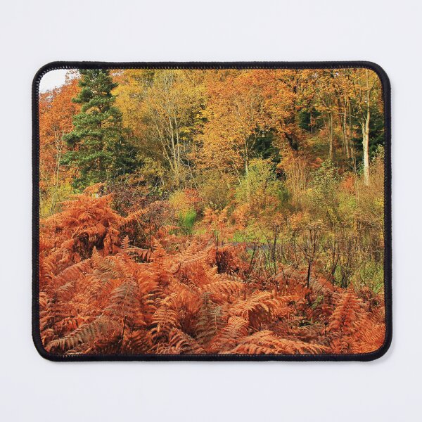 Item preview, Ferns and Trees designed and sold by neandercol.