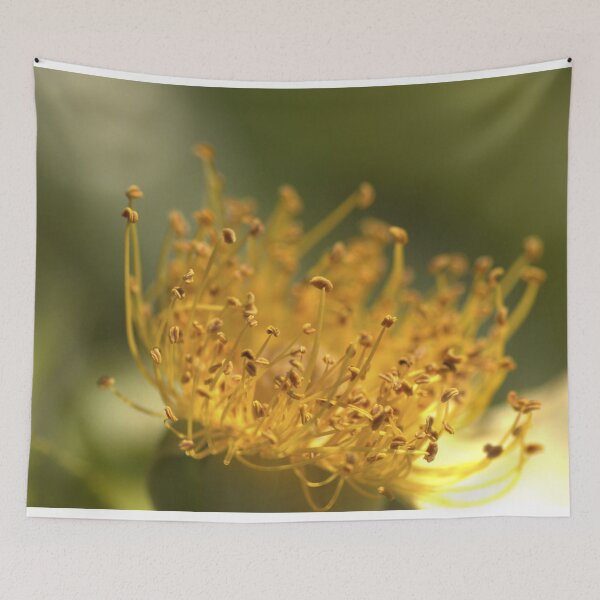 Item preview, Golden Centre of a Climbing Rose designed and sold by imaginethis.