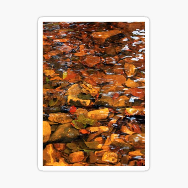 Autumn River Bed Sticker