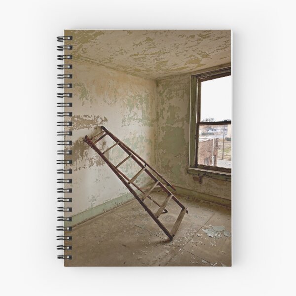 Item preview, Abandoned Pines Hotel - 9 (The Ladder) designed and sold by mal-photography.