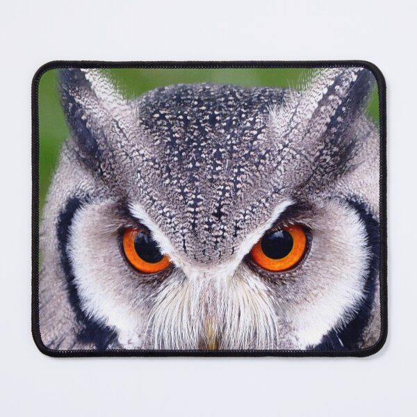 Item preview, Owl's Wisdom designed and sold by GaliYoga.