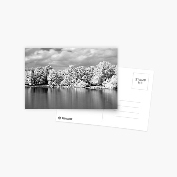 The Lake Postcard