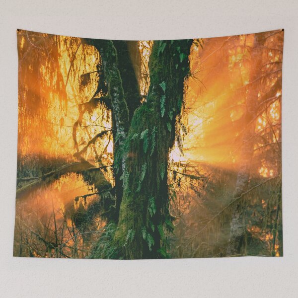 Item preview, Sunset on Tree in the Hoh Rainforest - Travel Sunset Forest Nature Trees sun green hiking adventure designed and sold by travel101.