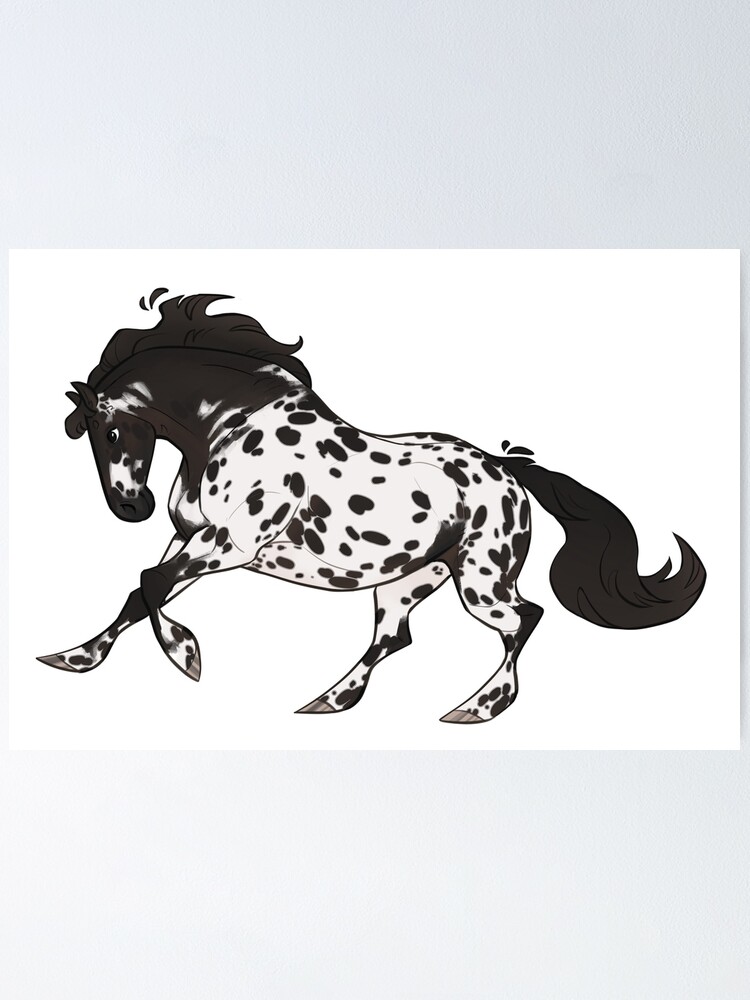 Cheval Appaloosa Poster